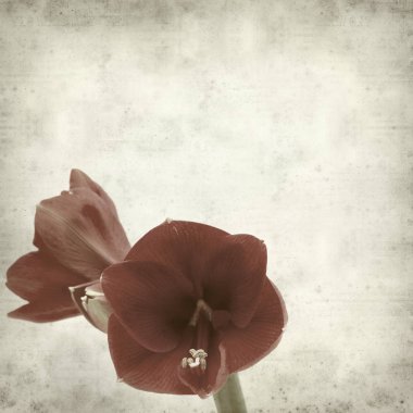 desenli eski kağıt arkaplan  