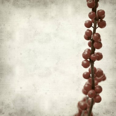 desenli eski kağıt arkaplan  