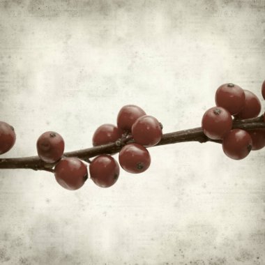 desenli eski kağıt arkaplan  