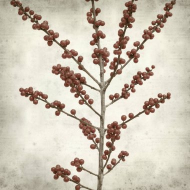 desenli eski kağıt arkaplan  