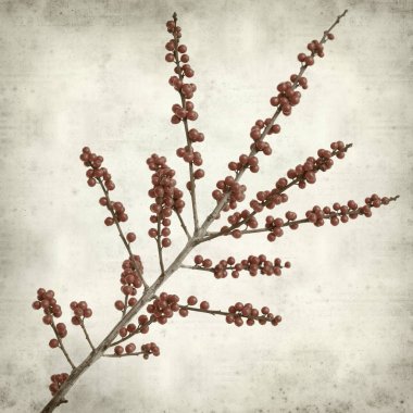 desenli eski kağıt arkaplan  