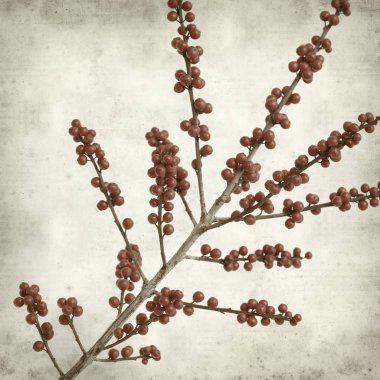 desenli eski kağıt arkaplan  