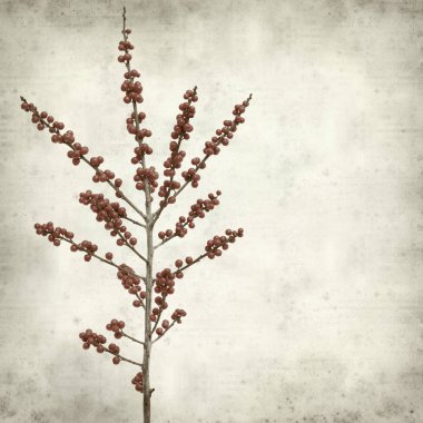 desenli eski kağıt arkaplan  