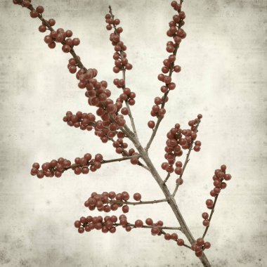 desenli eski kağıt arkaplan  