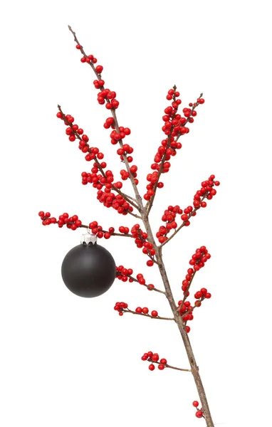 Ilex verticillata of winterberry — Stockfoto