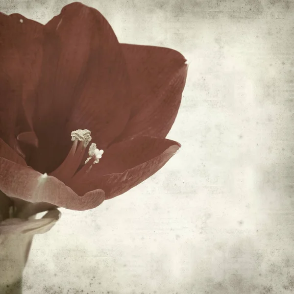 desenli eski kağıt arkaplan  