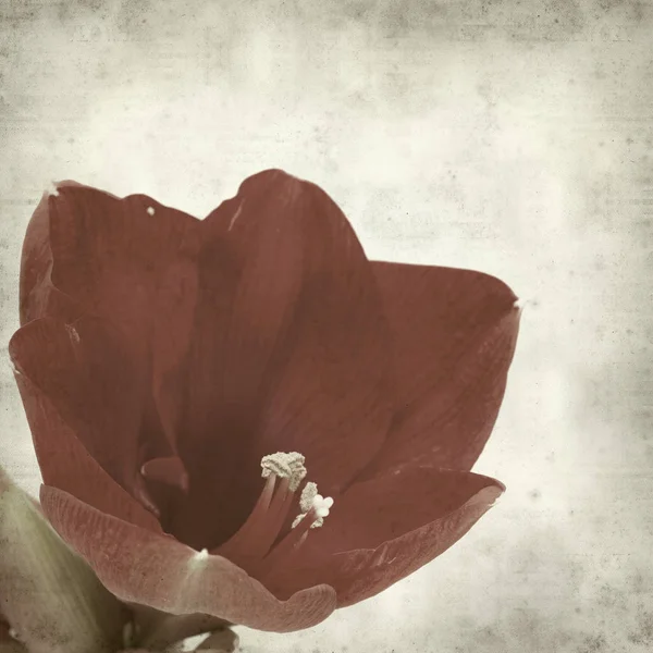 desenli eski kağıt arkaplan  