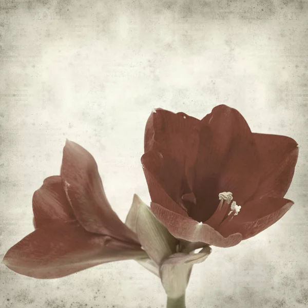 desenli eski kağıt arkaplan  