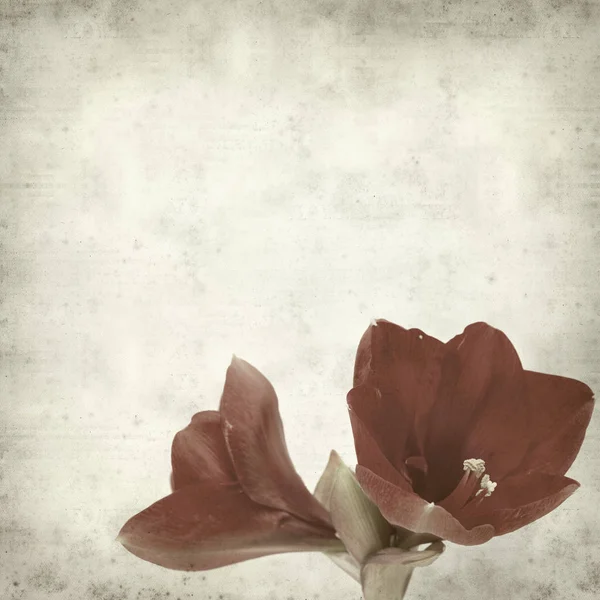 desenli eski kağıt arkaplan  