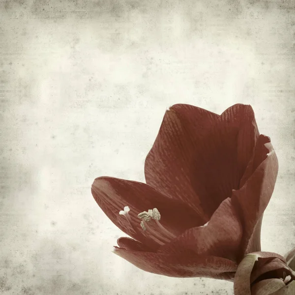 desenli eski kağıt arkaplan  