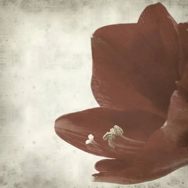 desenli eski kağıt arkaplan  