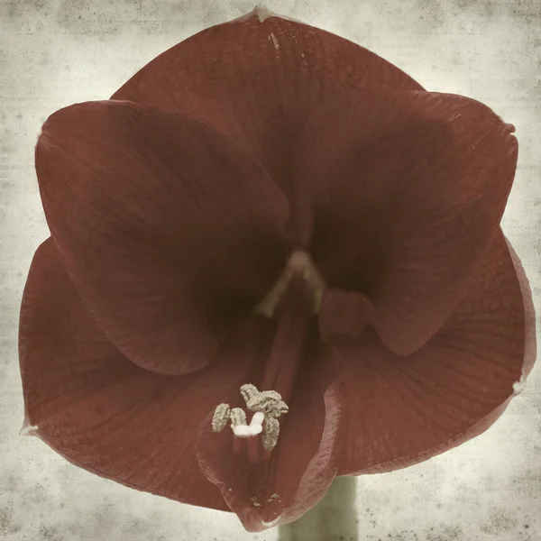 desenli eski kağıt arkaplan  