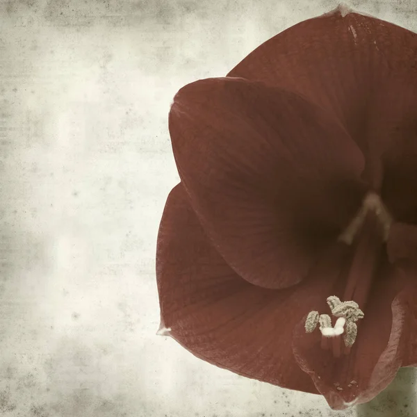 desenli eski kağıt arkaplan  