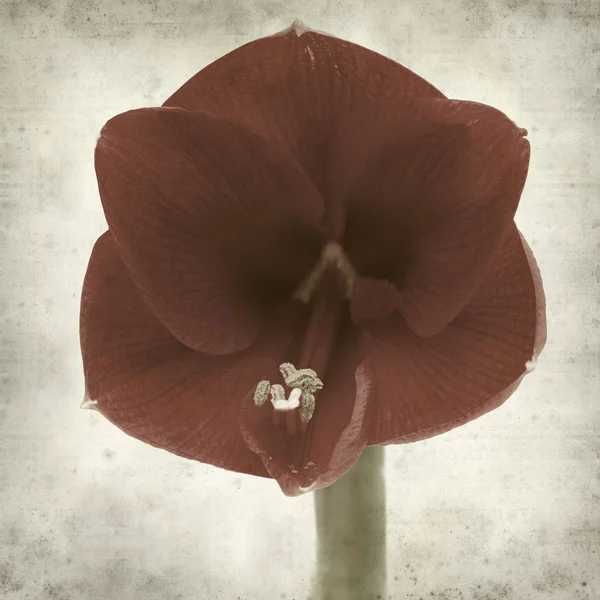 desenli eski kağıt arkaplan  