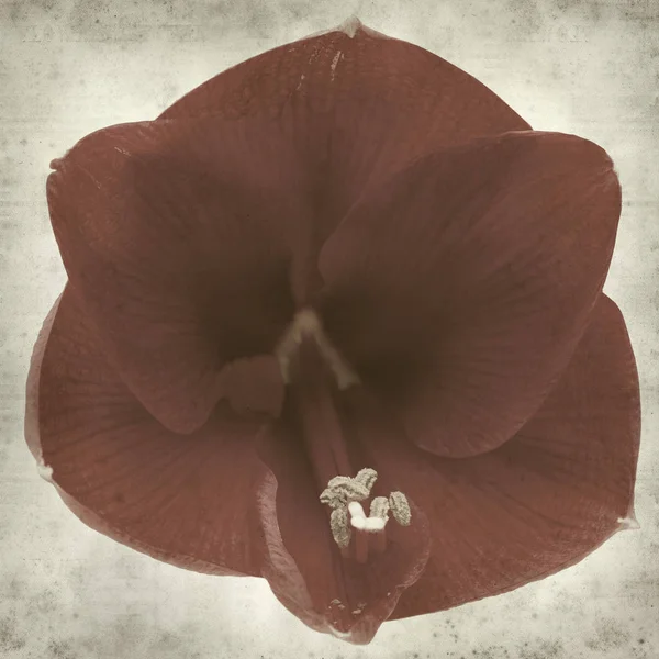 desenli eski kağıt arkaplan  