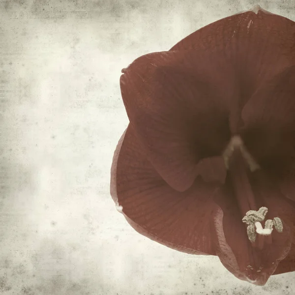 desenli eski kağıt arkaplan  