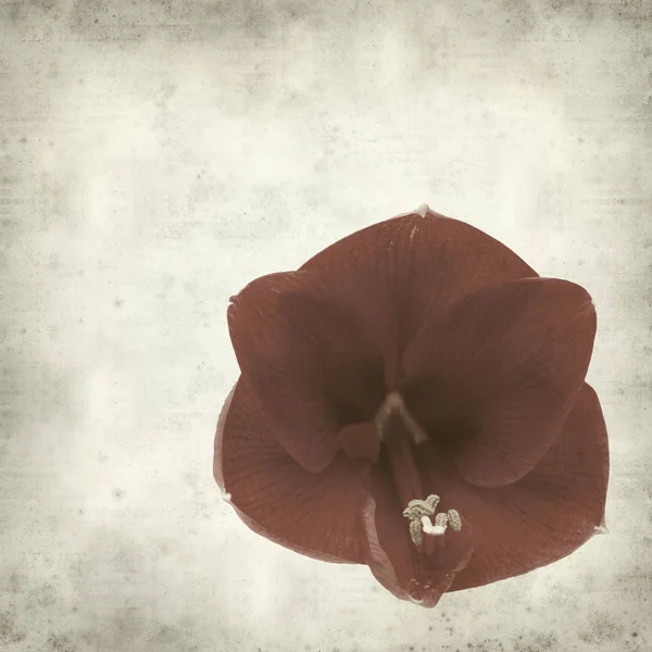 desenli eski kağıt arkaplan  