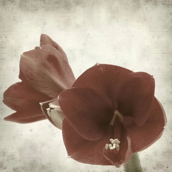 desenli eski kağıt arkaplan  