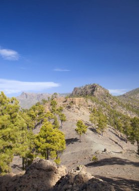 Merkez gran canaria