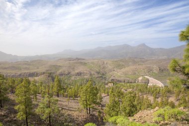 Merkez gran canaria