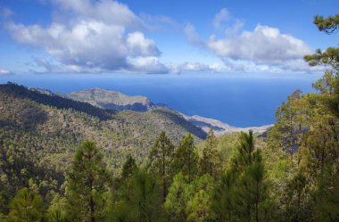 Ocak ayında Merkezi Gran Canaria
