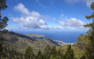 Ocak ayında Merkezi Gran Canaria