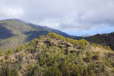 Merkez gran canaria