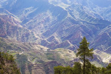 Merkez gran canaria