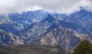 Merkez gran canaria