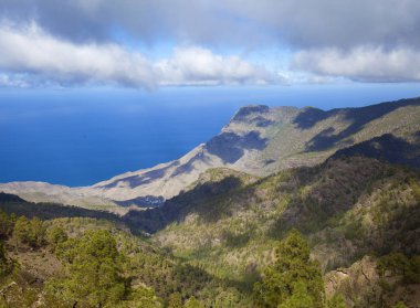Merkez gran canaria