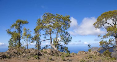 Merkez gran canaria