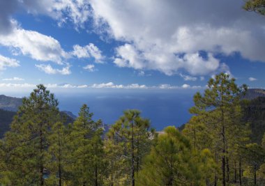 Merkez gran canaria