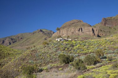 Ocak ayında Merkezi Gran Canaria