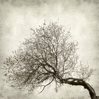 desenli eski kağıt arkaplan  