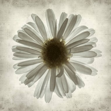 desenli eski kağıt arkaplan  