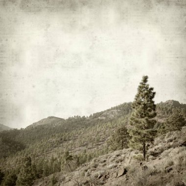 desenli eski kağıt arkaplan  