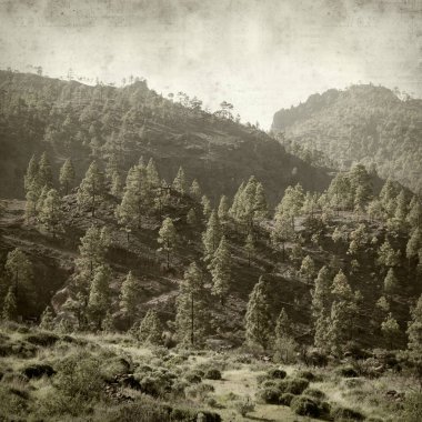 desenli eski kağıt arkaplan  