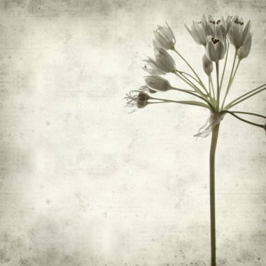 desenli eski kağıt arkaplan  