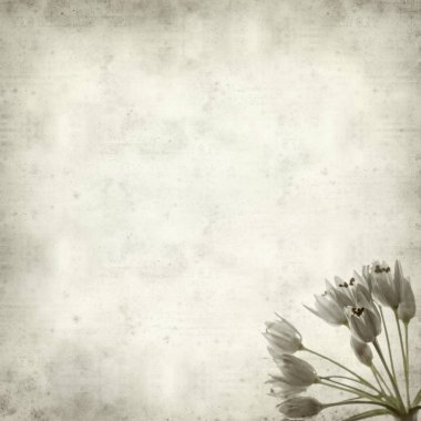 desenli eski kağıt arkaplan  