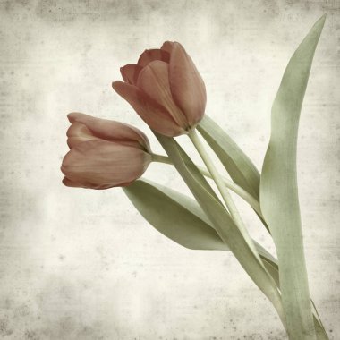 desenli eski kağıt arkaplan  