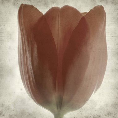 desenli eski kağıt arkaplan  