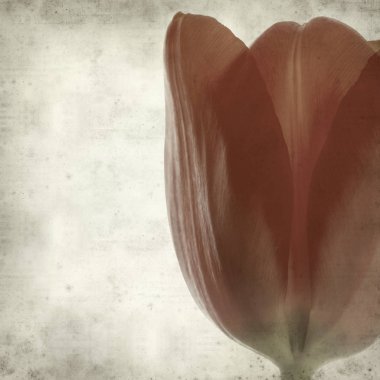 desenli eski kağıt arkaplan  