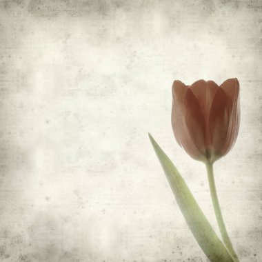 desenli eski kağıt arkaplan  