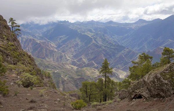 Centro de Gran Canaria — Foto de Stock