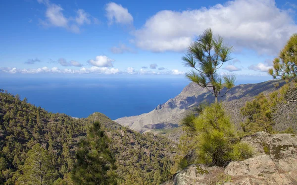 Gran canaria central — Fotografia de Stock