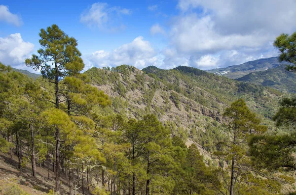 Gran canaria central — Fotografia de Stock