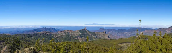 Centrum wyspy Gran Canaria w styczniu — Zdjęcie stockowe