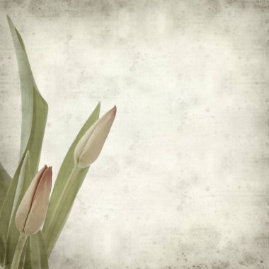 desenli eski kağıt arkaplan  