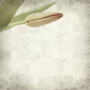 desenli eski kağıt arkaplan  