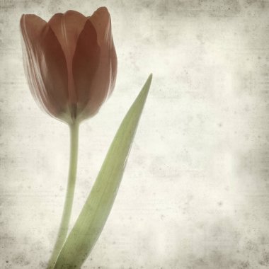 desenli eski kağıt arkaplan  